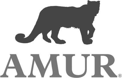 Amur Equipment Finance